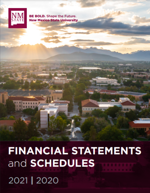 2020-2021 Financial Statements and Schedules